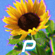 pismaster