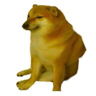 BonK2